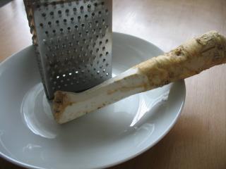 Preparing horseradish