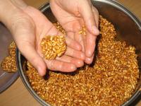 Create balls from mixture in your hands, which...