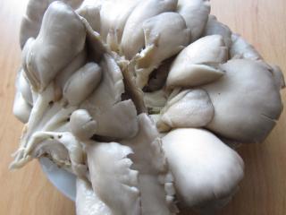 Preparation of oyster mushrooms