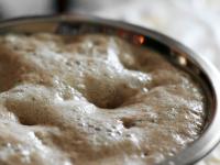 Make sourdough from sugar, yeast and water. Let it...