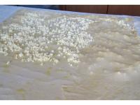 By raising of table cloth through the filling fold...