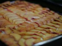 Put the sliced fruit all over the pudding surface....
