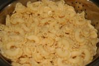 Cook pasta in a salted water. Meanwhile pasta is...