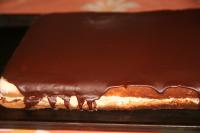 Equally spread melted chocolate over the dessert...