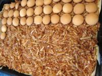 Spread grated apples over the pudding and once...