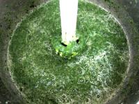 Use hand blender to mix it and reboil....