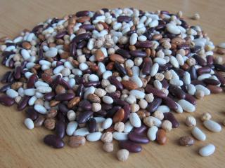 Preparation of pulses