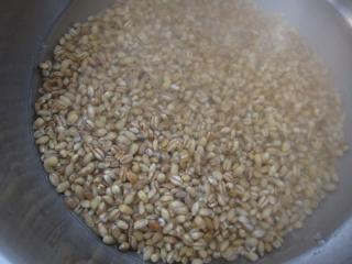 Barley groats