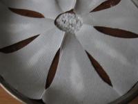 Place it on the dessert again so that the holes...