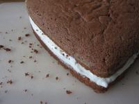 ...and cover with the second half of the cake...