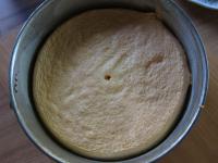 Pour the sponge dough into a greased and floured...