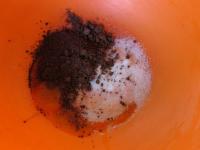Whip egg yolks with the sugar and stir in the...