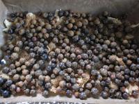 Sprinkle the currants evenly on the butter and...