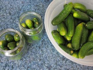 Preparation of cucumbers