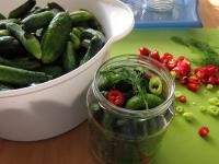 Put cucumbers as tightly as possible in clean...