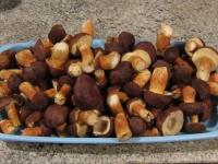 For preserving use small mushrooms, of which you...