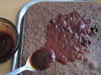 Spread savoury, the best red currant jam over the...