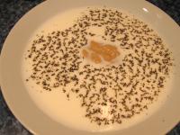 Stir salt, mustard and black pepper in milk....
