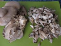 Wash the oyster mushroom, cut it finely ......