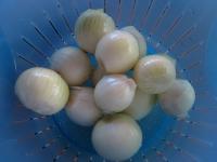 Clean and cut the onion....