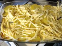 Grate the cheese coarsely and sprinkle over the...