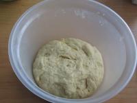 Cover the dough and let it rise in a warm place...
