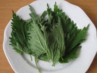 Wash the nettle leaves and chop them finely. ...