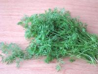 Wash and chop dill, ......