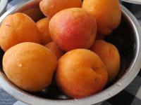 Wash larger, ripe apricots....