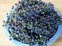 Wash the grapes and let them drip....