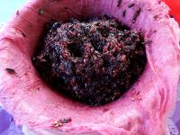 After straining the syrup, put clean gauze in the...