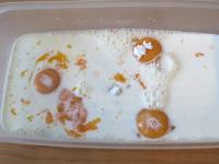 Mix milk, egg yolks and sugar in a rectangular...